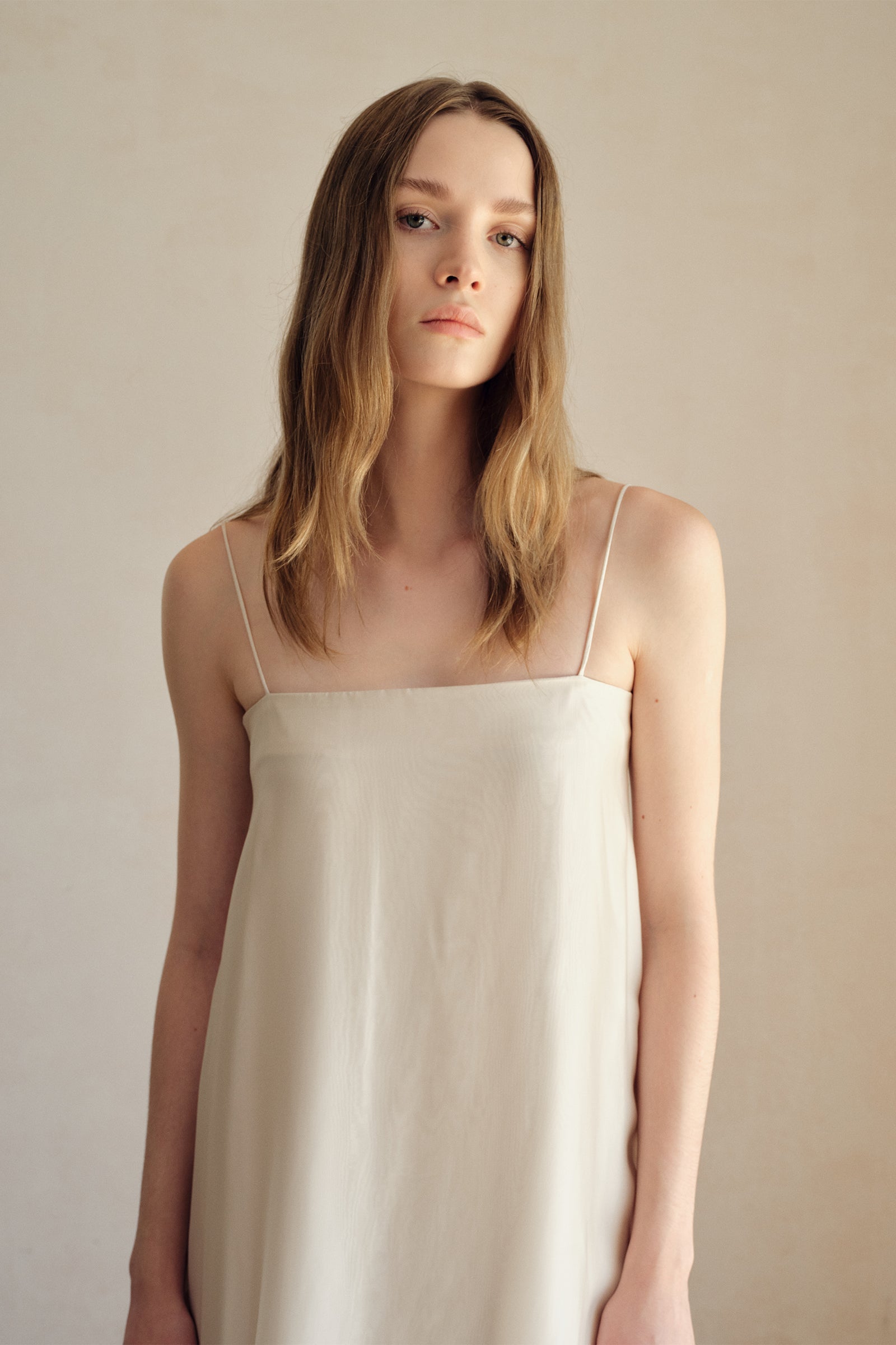 Isle Organza Silk Blend Maxi Dress