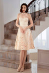 Camelia Dress (Champagne)