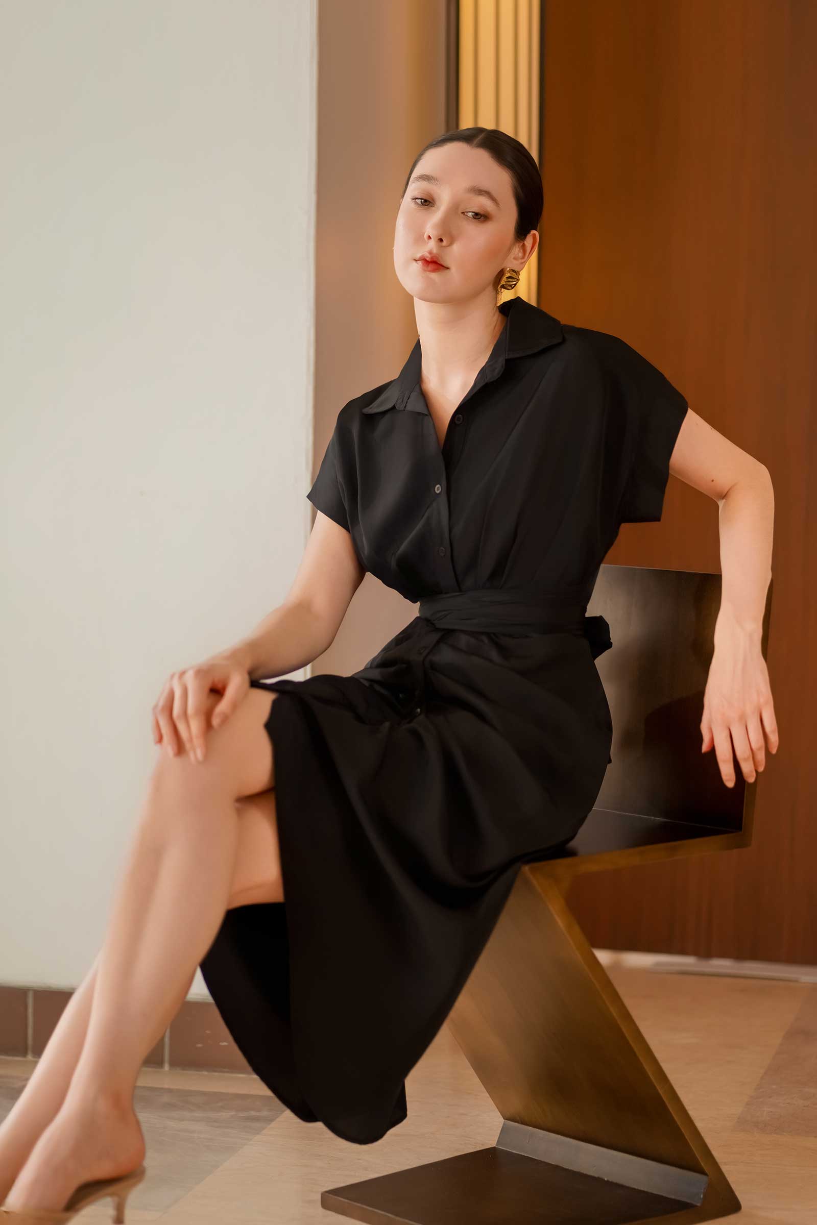 Delsince Shirt Dress (Black)