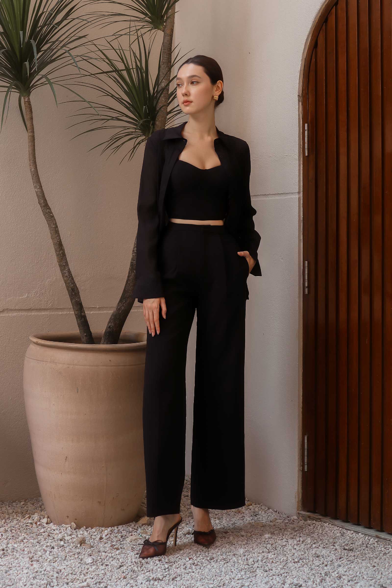 Darnisze Organza Top Set (Black)