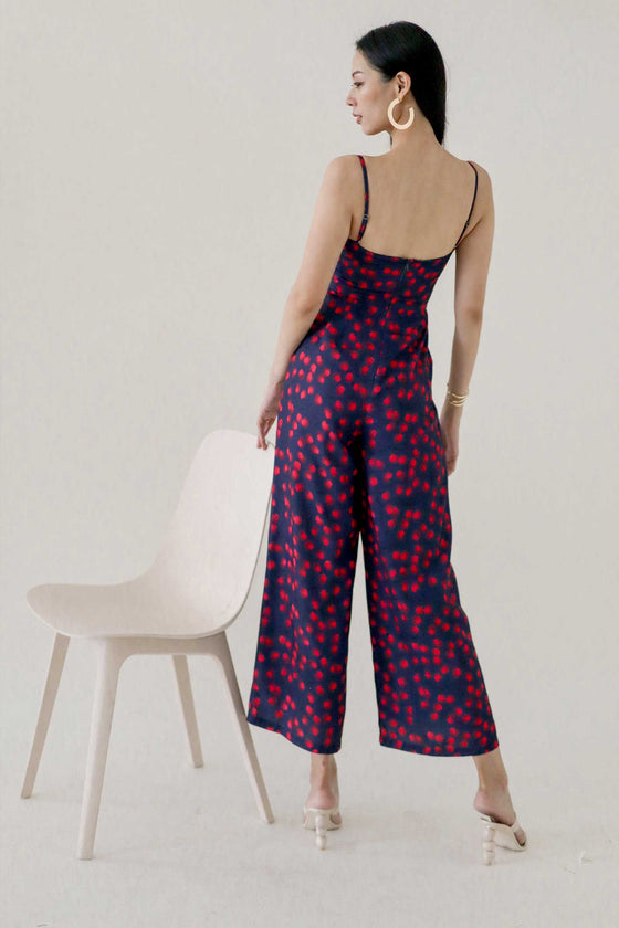 Dacario Jumpsuit (Printed)