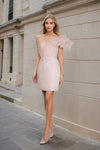 Danie Dress (Light Pink)