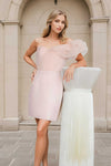 Danie Dress (Light Pink)