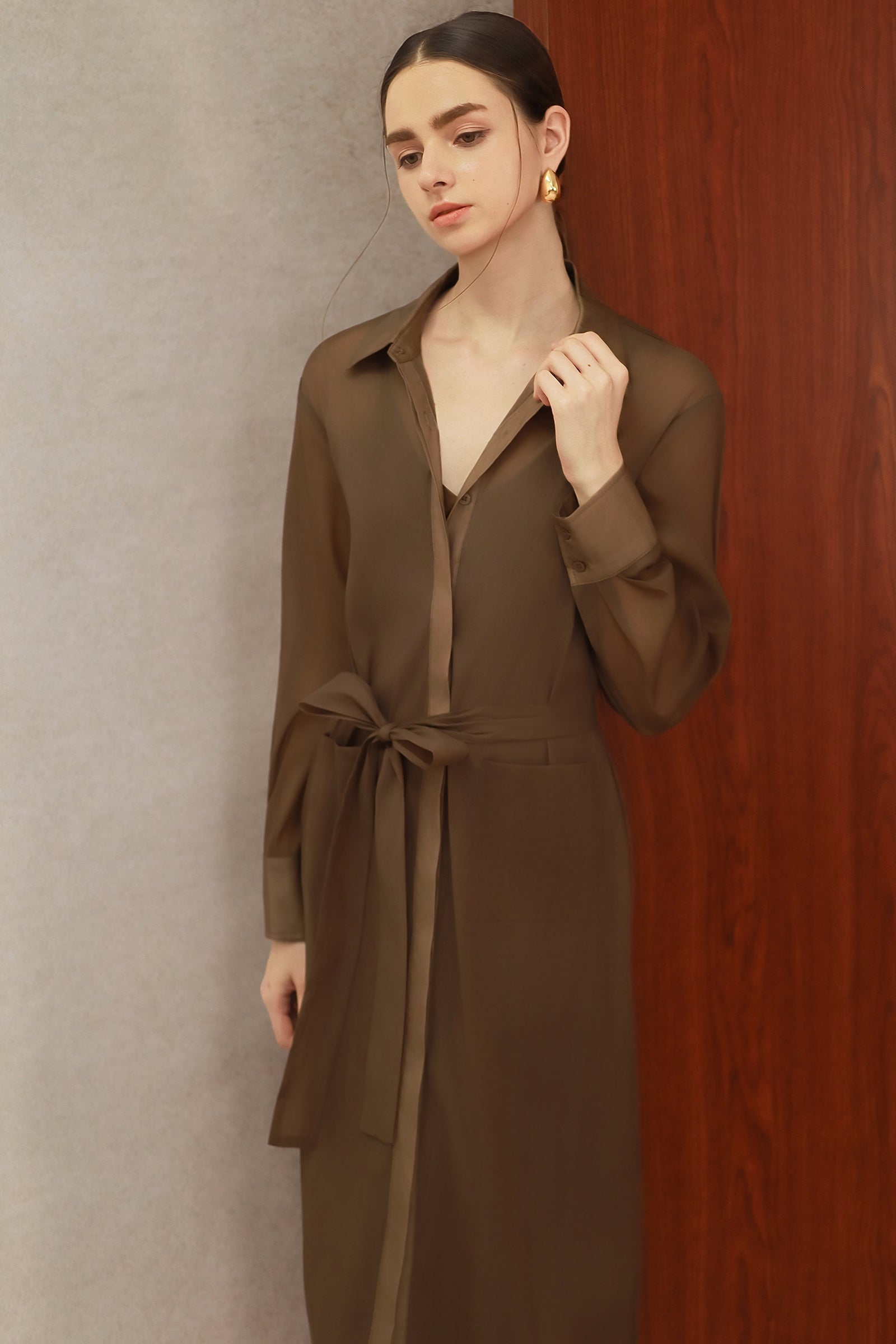 Seren Silk Shirtdress (Mocha)