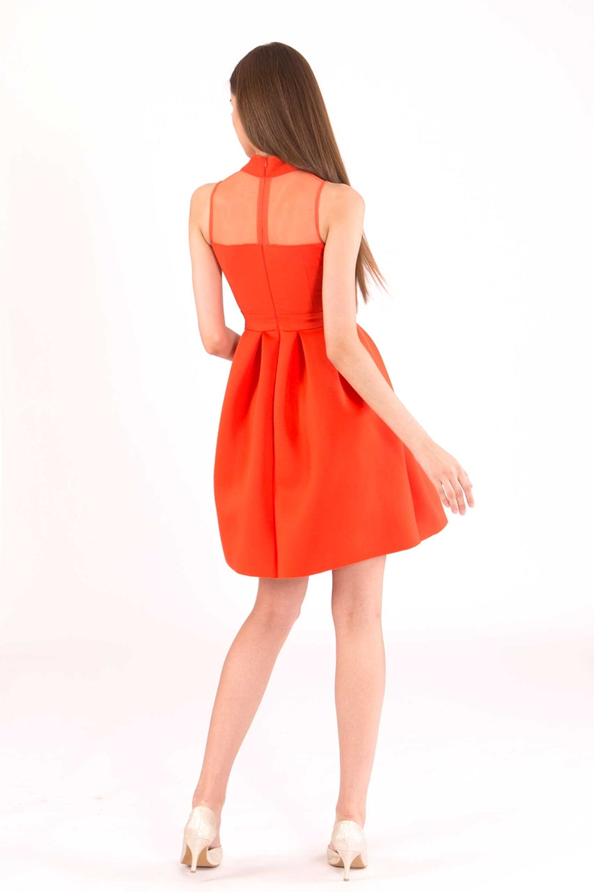 Daryex (Tangerine)