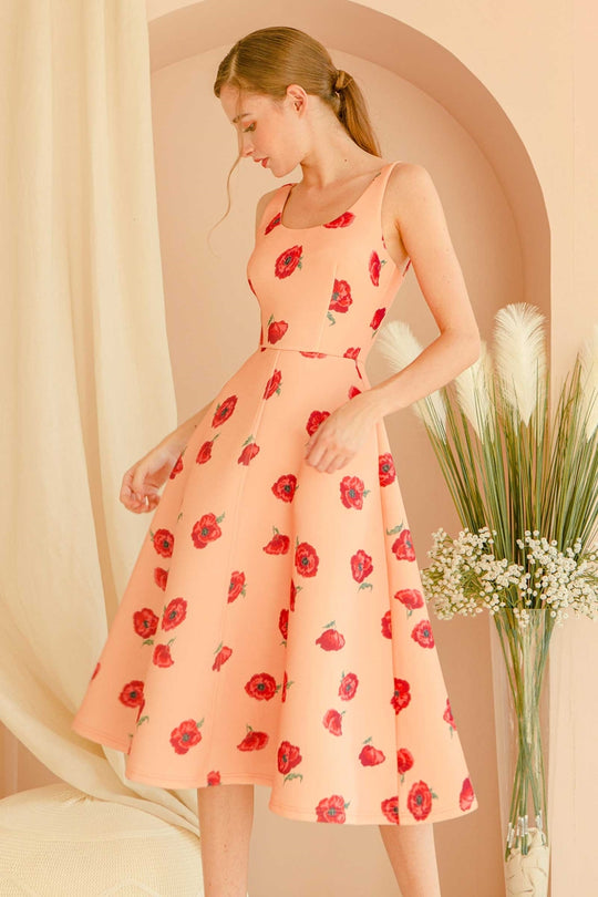 Dolaverse (Light Orange)