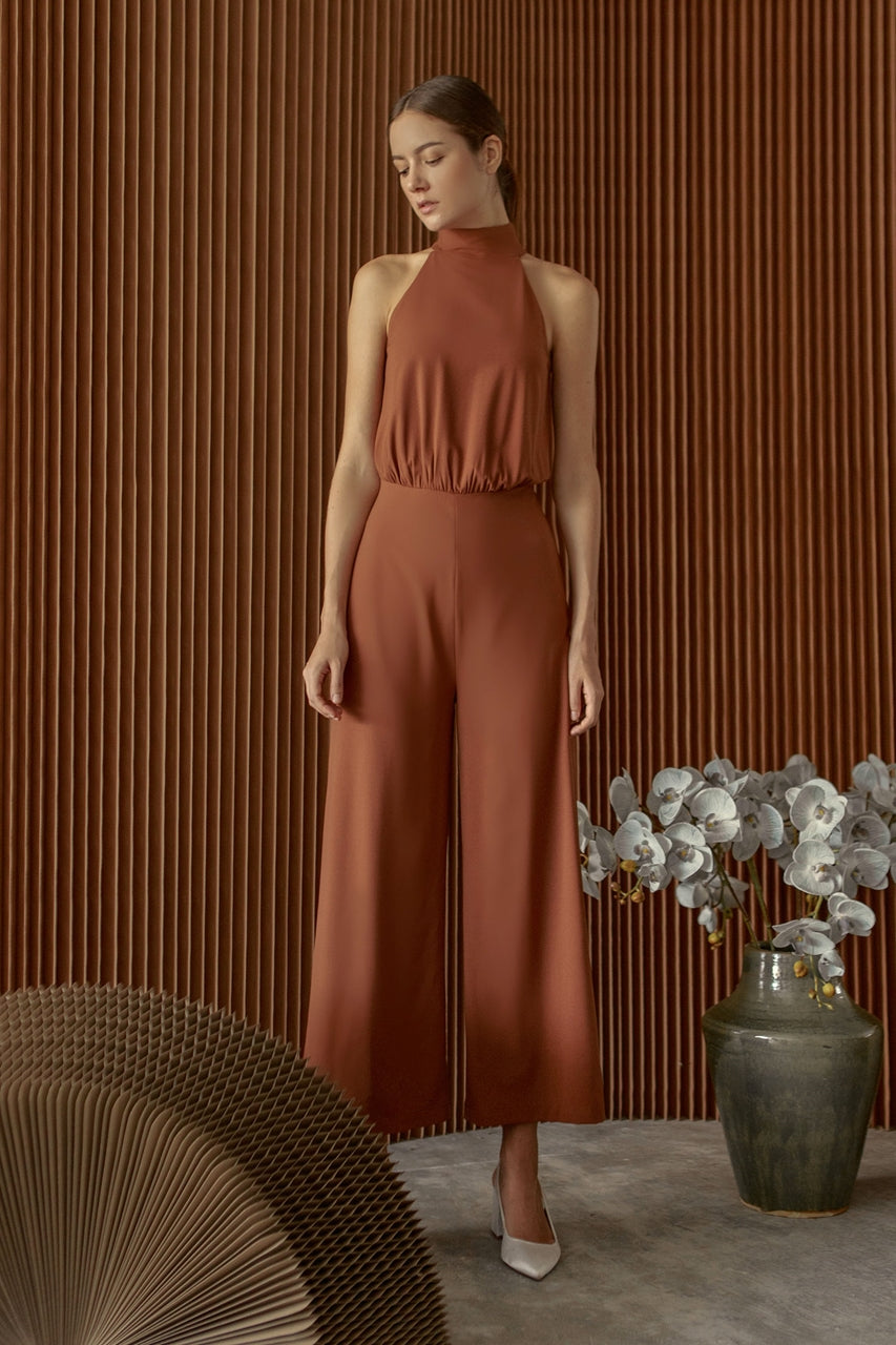 Dieruse Jumpsuit (Brown)